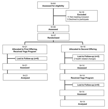 A diagram of a company structure

Description automatically generated